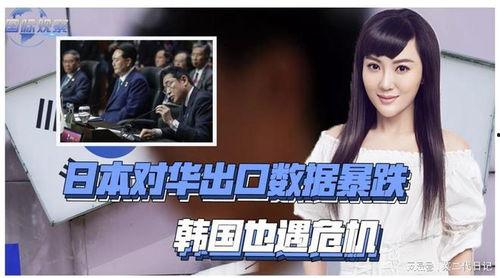 日韩短篇视频,浓缩时光的艺术魅力